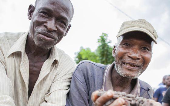 2014: The Year We Switched to Sustainable Cocoa