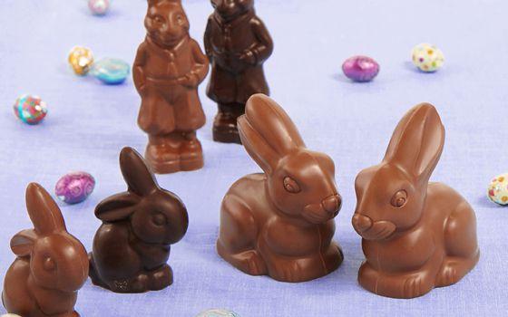 Chocolate Bunnies, History Of