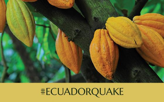 Together, we can help Ecuador & our cocoa farmer partners