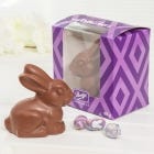 Milk Chocolate Whiskers Bunny, 165g