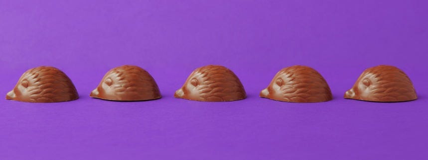 Gold Hedgehogs