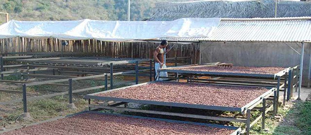 Sustainable Farms