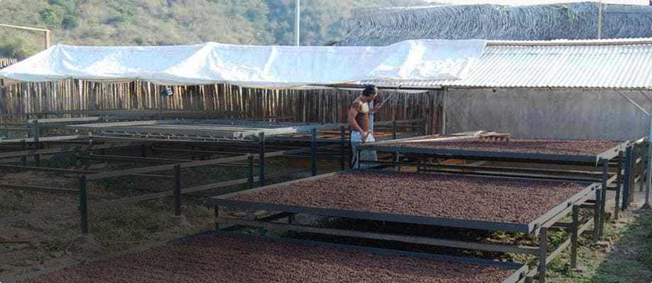 Sustainable Farms